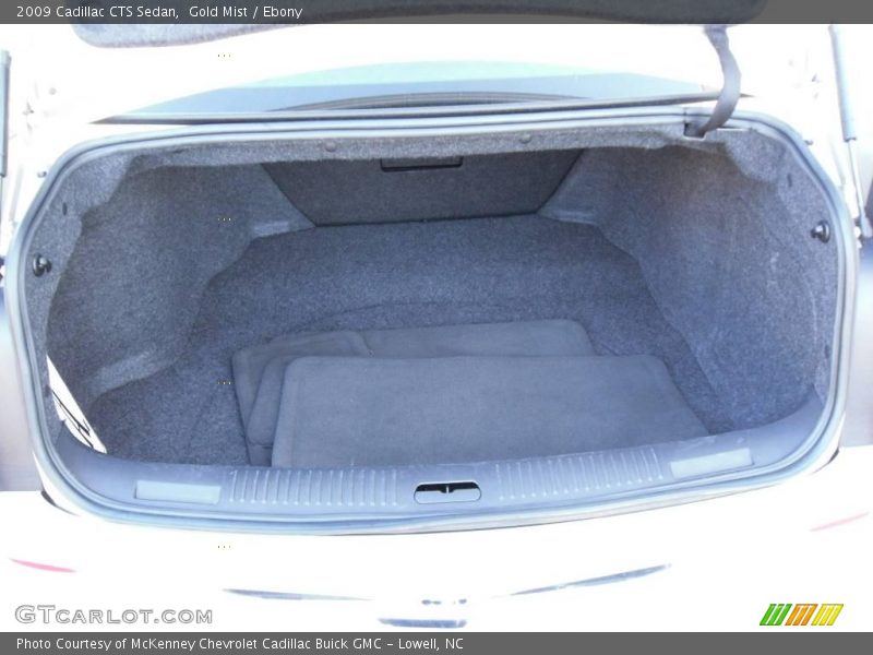 Gold Mist / Ebony 2009 Cadillac CTS Sedan