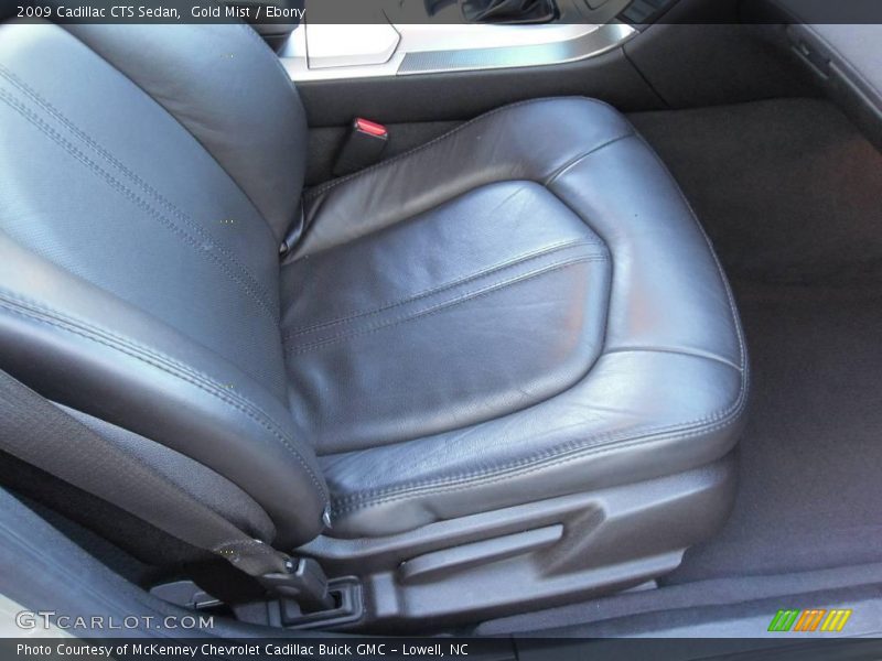 Gold Mist / Ebony 2009 Cadillac CTS Sedan