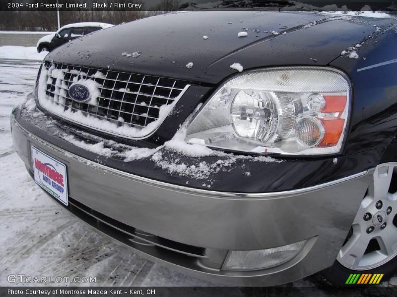 Black / Flint Grey 2004 Ford Freestar Limited