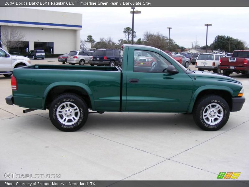 Timberline Green Pearl / Dark Slate Gray 2004 Dodge Dakota SXT Regular Cab