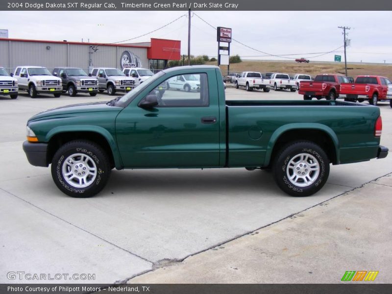 Timberline Green Pearl / Dark Slate Gray 2004 Dodge Dakota SXT Regular Cab