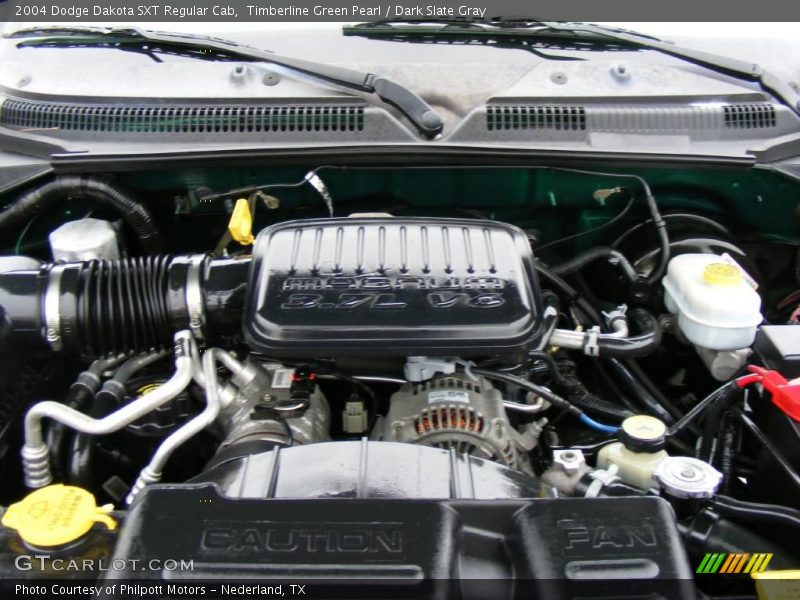 Timberline Green Pearl / Dark Slate Gray 2004 Dodge Dakota SXT Regular Cab