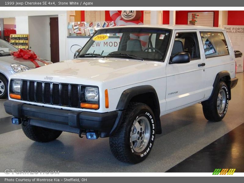 Stone White / Agate 1999 Jeep Cherokee SE 4x4