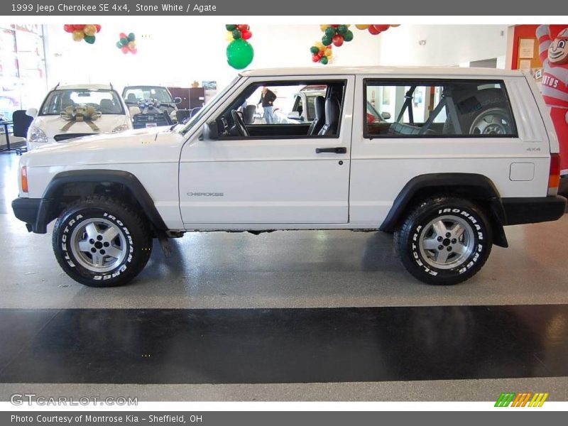 Stone White / Agate 1999 Jeep Cherokee SE 4x4