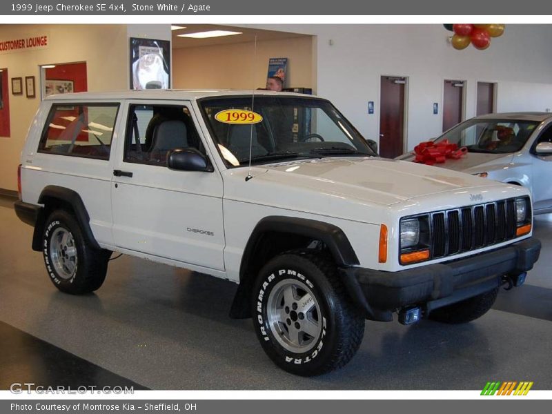 Stone White / Agate 1999 Jeep Cherokee SE 4x4