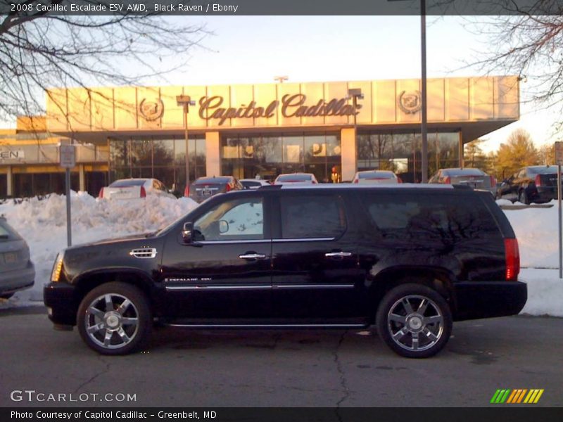 Black Raven / Ebony 2008 Cadillac Escalade ESV AWD