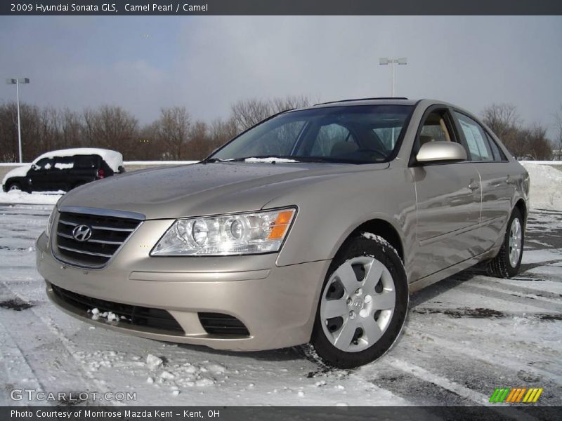 Camel Pearl / Camel 2009 Hyundai Sonata GLS