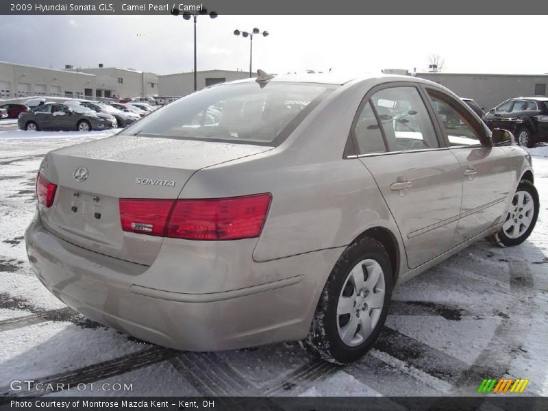 Camel Pearl / Camel 2009 Hyundai Sonata GLS