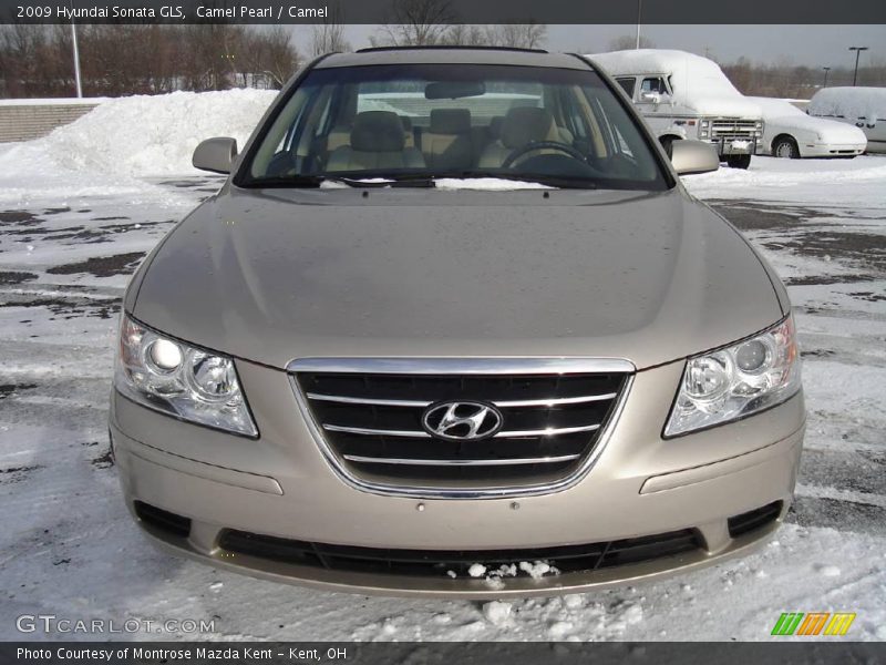 Camel Pearl / Camel 2009 Hyundai Sonata GLS