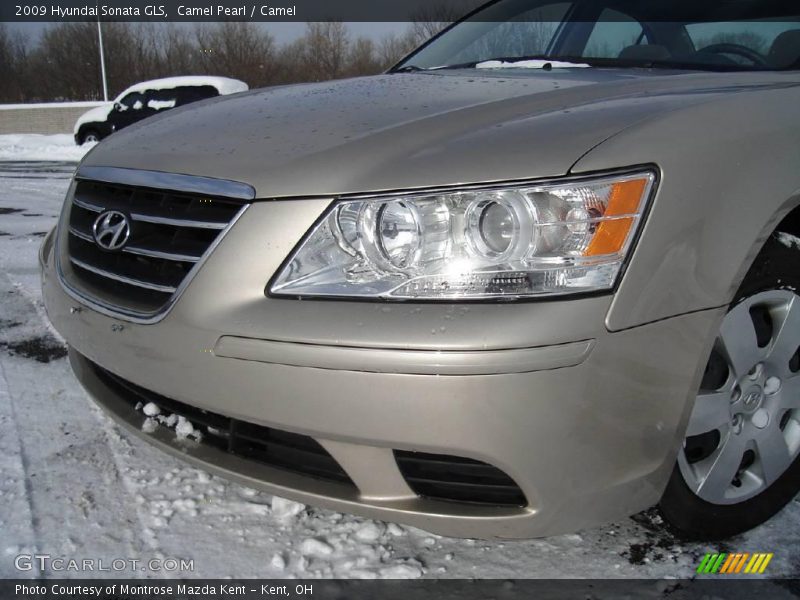 Camel Pearl / Camel 2009 Hyundai Sonata GLS