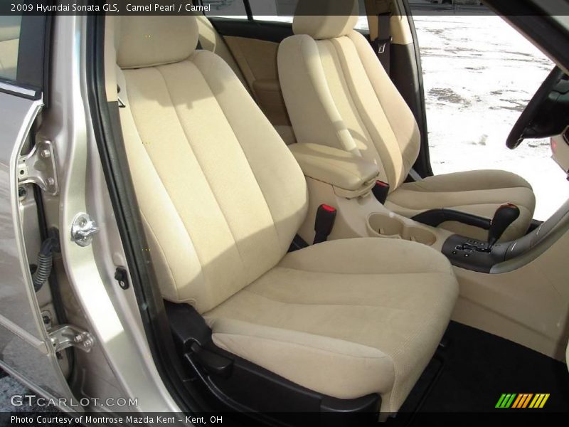 Camel Pearl / Camel 2009 Hyundai Sonata GLS