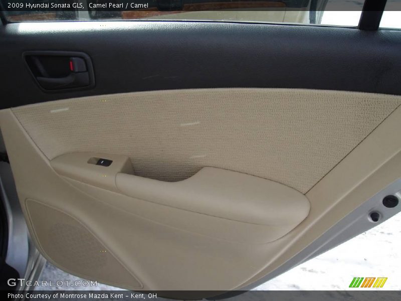 Camel Pearl / Camel 2009 Hyundai Sonata GLS