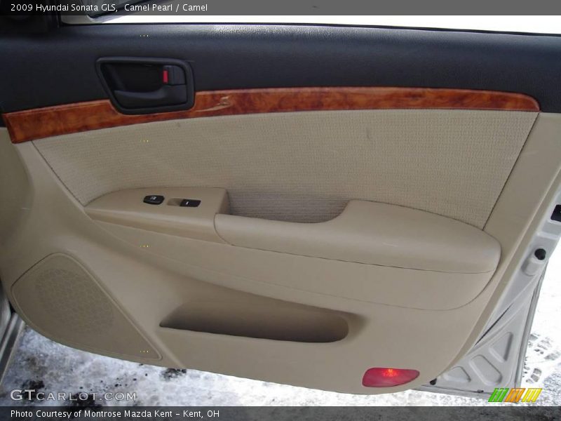 Camel Pearl / Camel 2009 Hyundai Sonata GLS