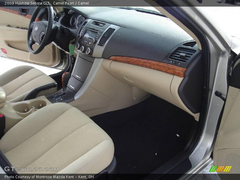 Camel Pearl / Camel 2009 Hyundai Sonata GLS