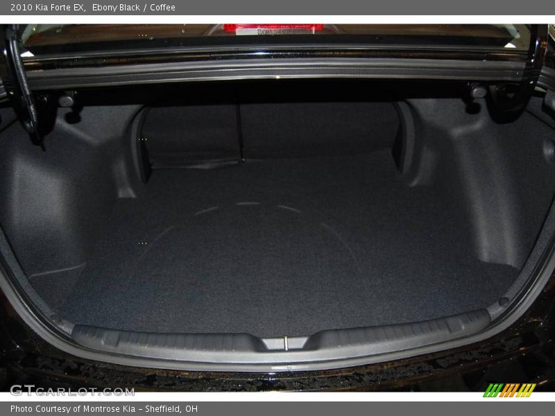 Ebony Black / Coffee 2010 Kia Forte EX