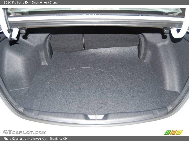Clear White / Stone 2010 Kia Forte EX