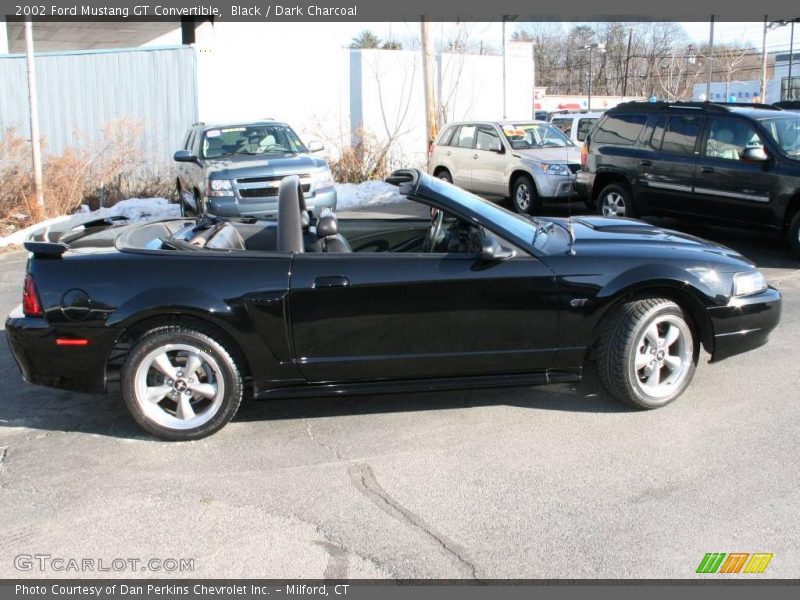 Black / Dark Charcoal 2002 Ford Mustang GT Convertible