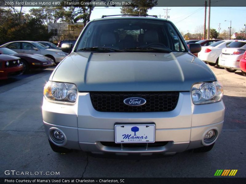Titanium Green Metallic / Ebony Black 2005 Ford Escape Hybrid 4WD