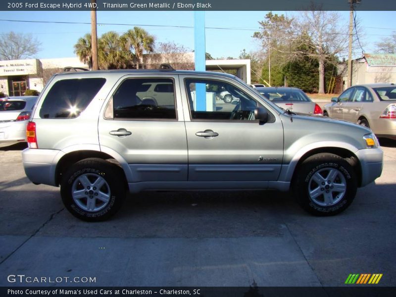Titanium Green Metallic / Ebony Black 2005 Ford Escape Hybrid 4WD