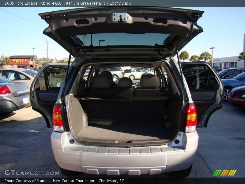 Titanium Green Metallic / Ebony Black 2005 Ford Escape Hybrid 4WD