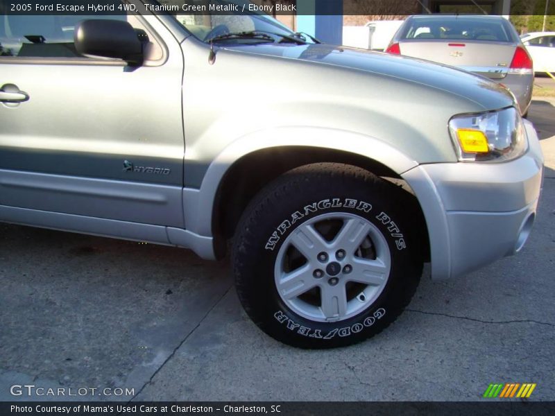 Titanium Green Metallic / Ebony Black 2005 Ford Escape Hybrid 4WD