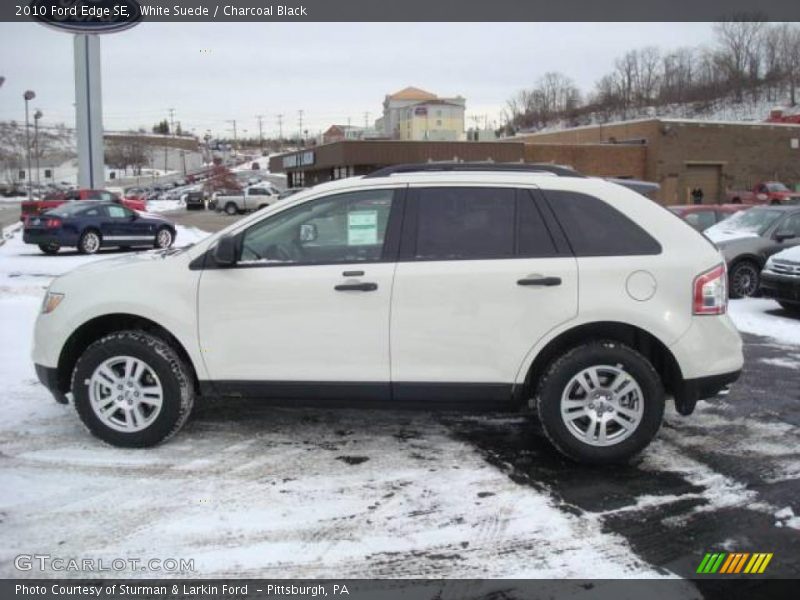 White Suede / Charcoal Black 2010 Ford Edge SE