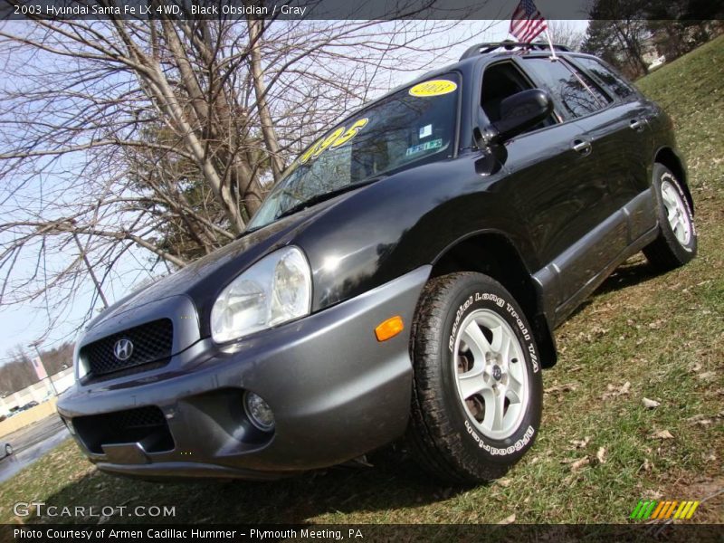 Black Obsidian / Gray 2003 Hyundai Santa Fe LX 4WD