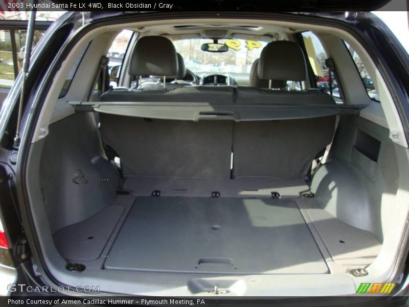 Black Obsidian / Gray 2003 Hyundai Santa Fe LX 4WD