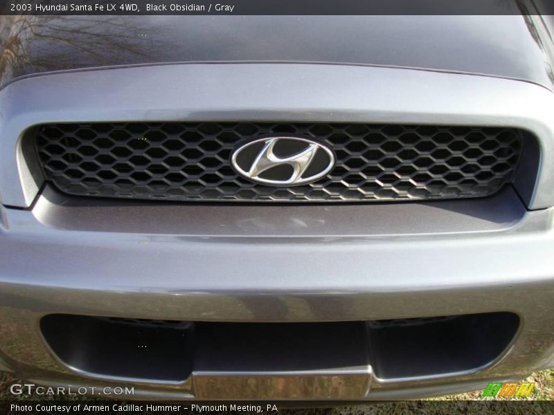 Black Obsidian / Gray 2003 Hyundai Santa Fe LX 4WD