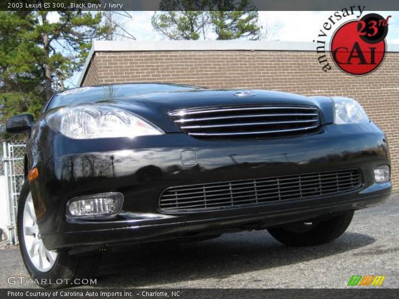 Black Onyx / Ivory 2003 Lexus ES 300
