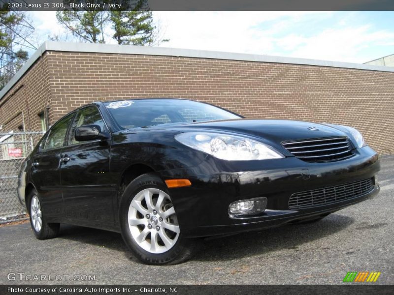 Black Onyx / Ivory 2003 Lexus ES 300