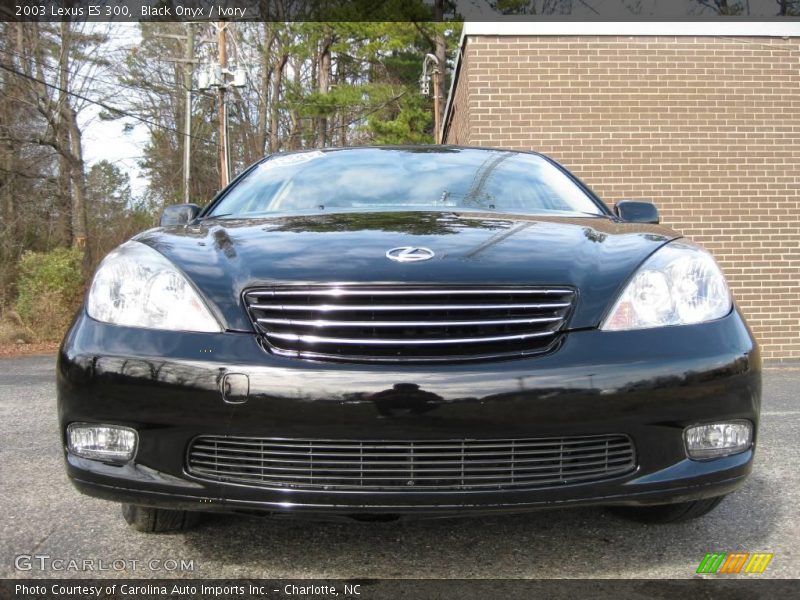 Black Onyx / Ivory 2003 Lexus ES 300