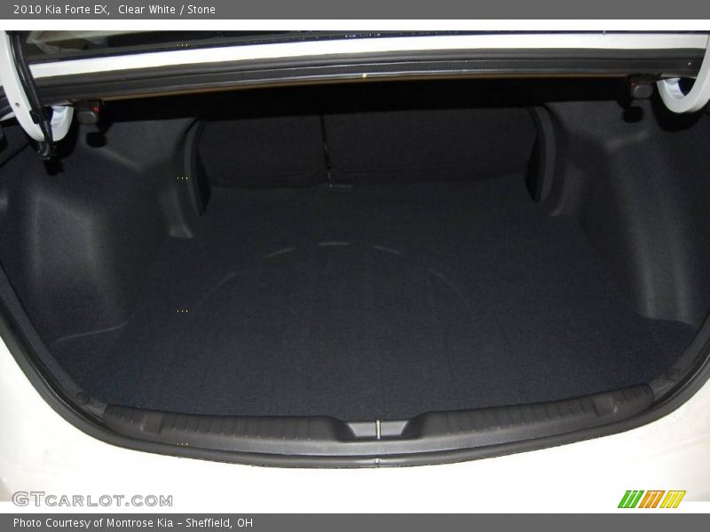 Clear White / Stone 2010 Kia Forte EX