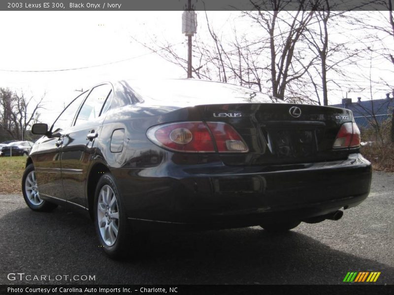 Black Onyx / Ivory 2003 Lexus ES 300