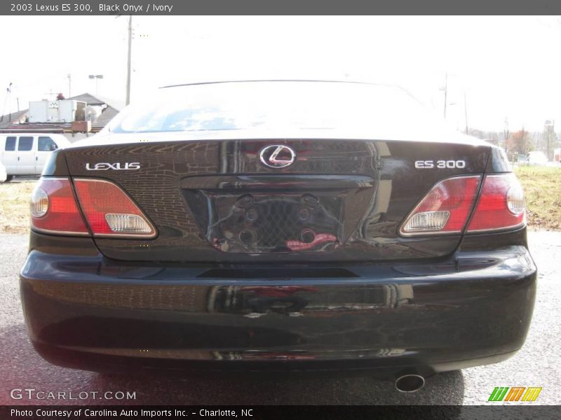 Black Onyx / Ivory 2003 Lexus ES 300
