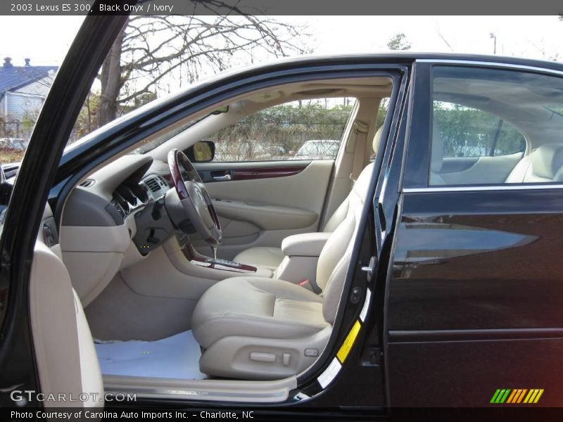 Black Onyx / Ivory 2003 Lexus ES 300