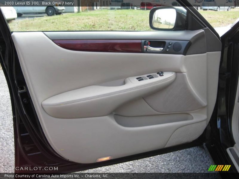 Black Onyx / Ivory 2003 Lexus ES 300