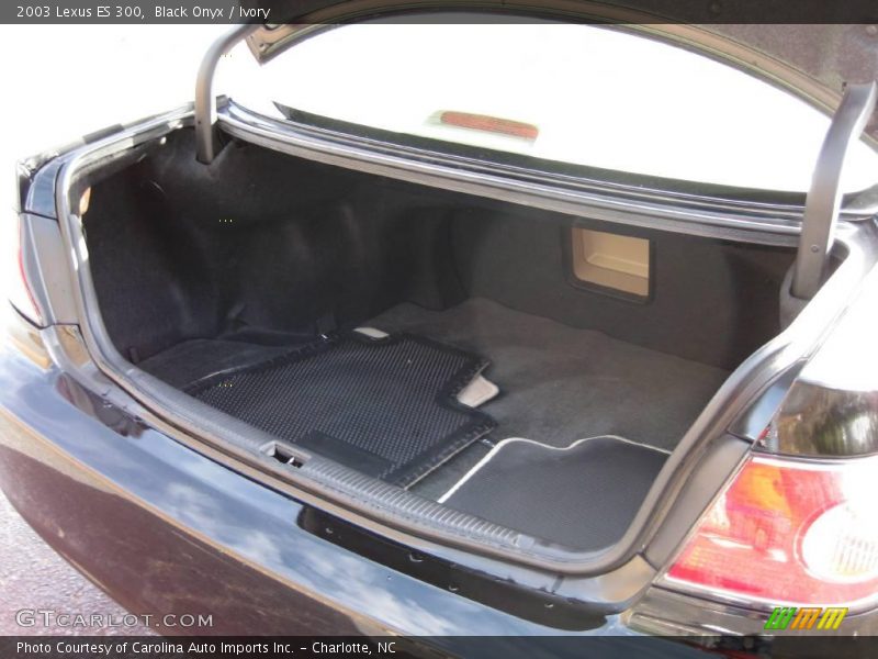 Black Onyx / Ivory 2003 Lexus ES 300