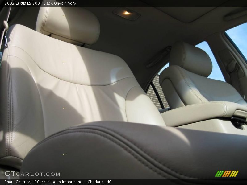Black Onyx / Ivory 2003 Lexus ES 300