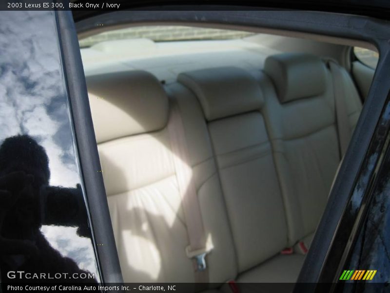 Black Onyx / Ivory 2003 Lexus ES 300