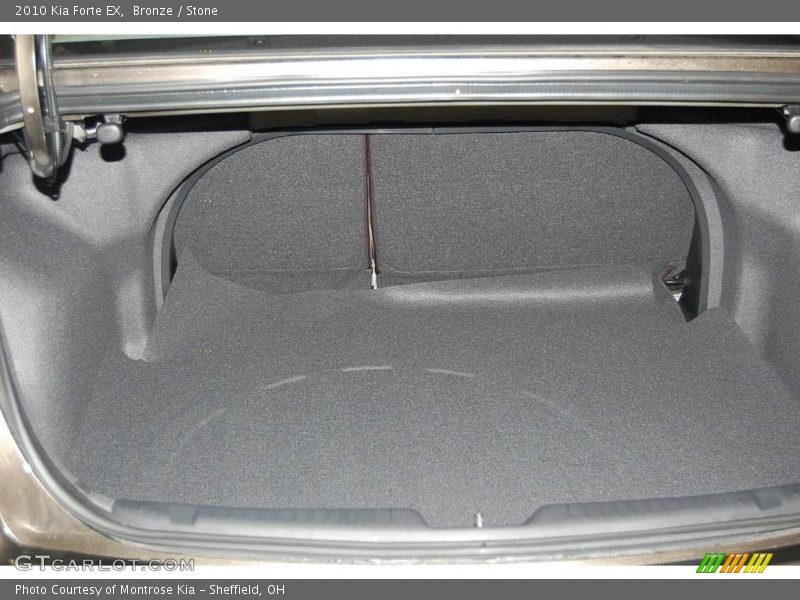 Bronze / Stone 2010 Kia Forte EX