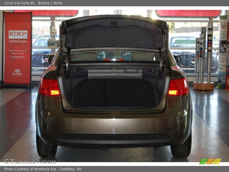 Bronze / Stone 2010 Kia Forte EX