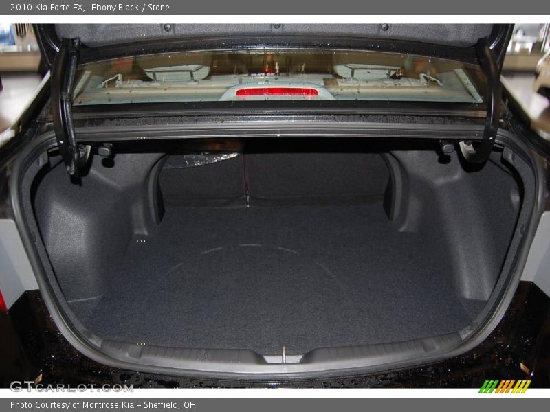 Ebony Black / Stone 2010 Kia Forte EX