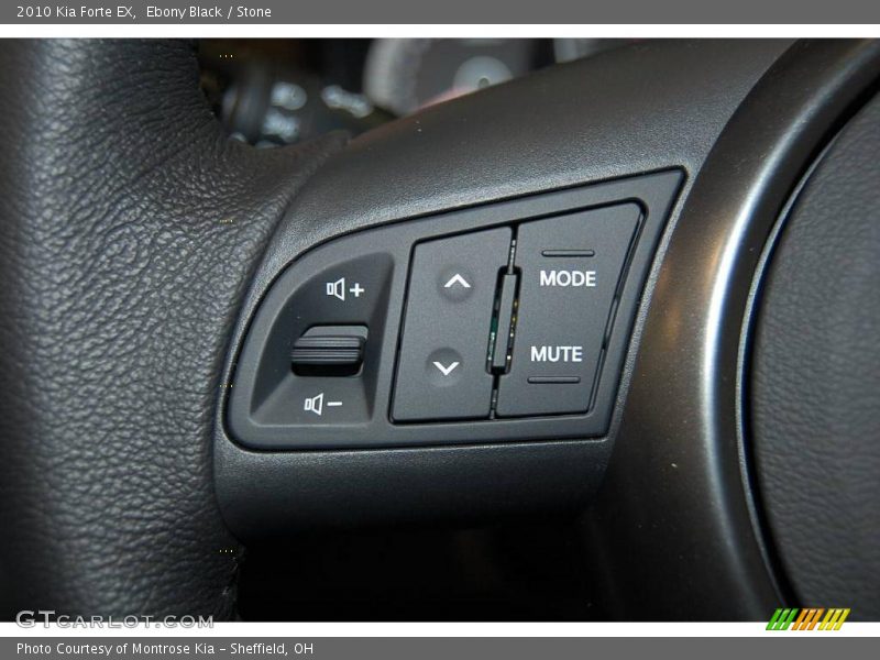 Ebony Black / Stone 2010 Kia Forte EX