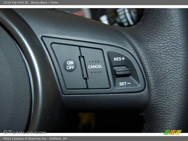 Ebony Black / Stone 2010 Kia Forte EX