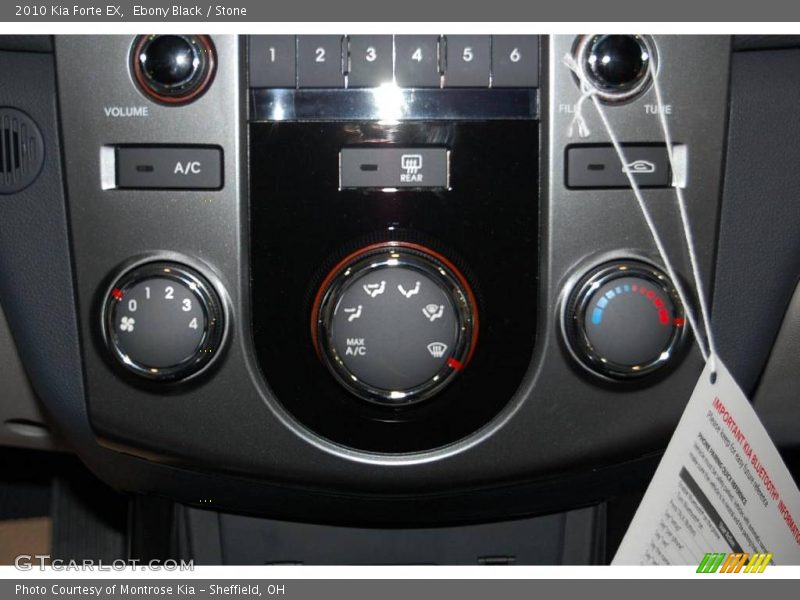 Ebony Black / Stone 2010 Kia Forte EX
