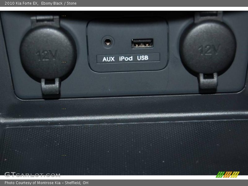 Ebony Black / Stone 2010 Kia Forte EX