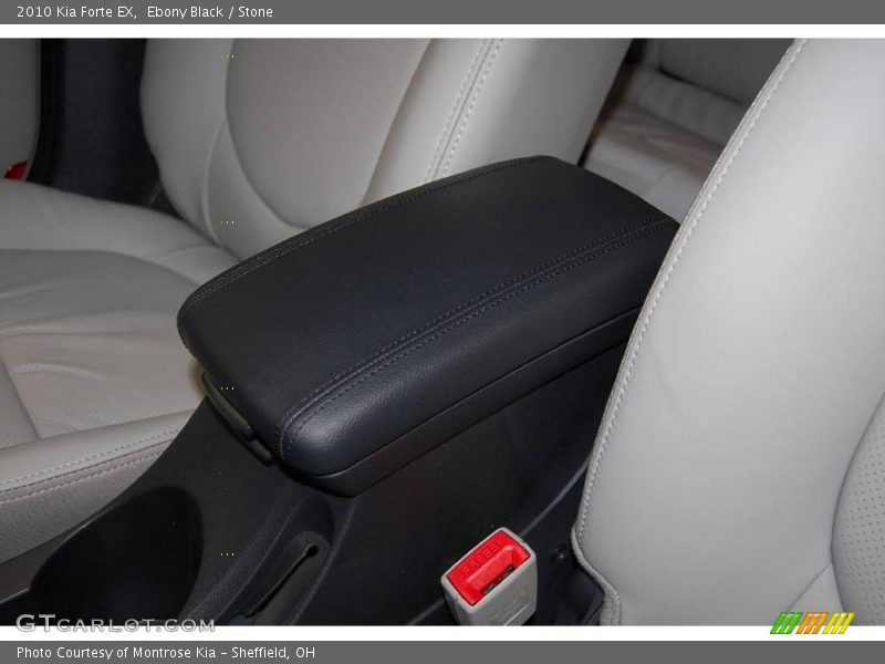 Ebony Black / Stone 2010 Kia Forte EX