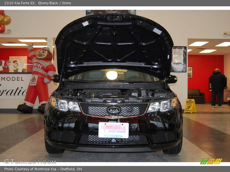 Ebony Black / Stone 2010 Kia Forte EX