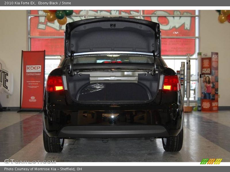 Ebony Black / Stone 2010 Kia Forte EX